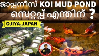 Why we need Mud pond setup for Japanese koi Fish in Kerala  | Benefits of Mud Pond setup for koi