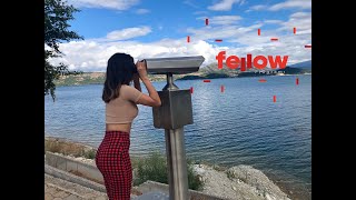 buket sarı - inandığın yolda ilerle | #fellow2023