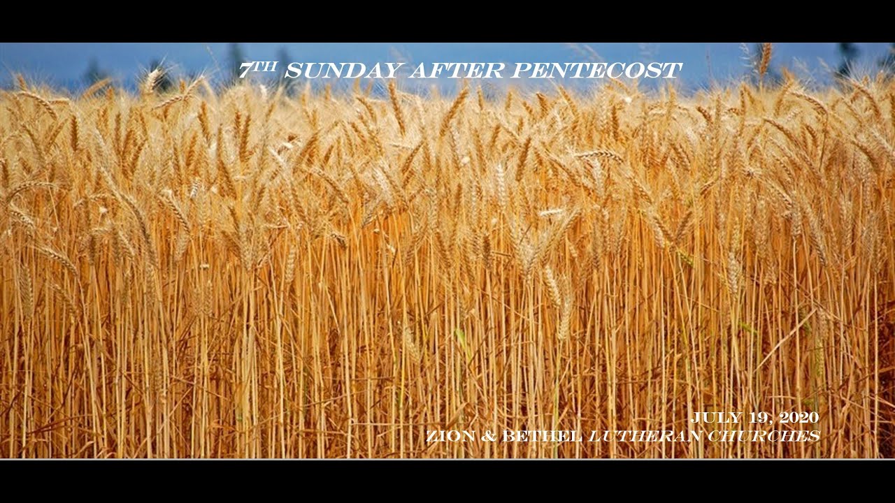 7th SUNDAY after PENTECOST - 7-19-20 - Zion & Bethel Lutheran Churches, Lovettsville VA