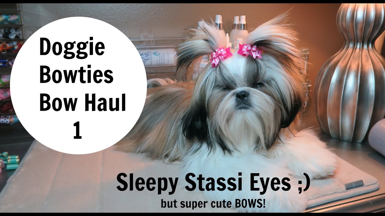 Easy To Use Dog Bow Tie Rescued and Loved Snap-In Dog Bows\u00ae Bow Tie Fur Friendly Dog Bow Tie Blue /& Orange Dog Bow Tie