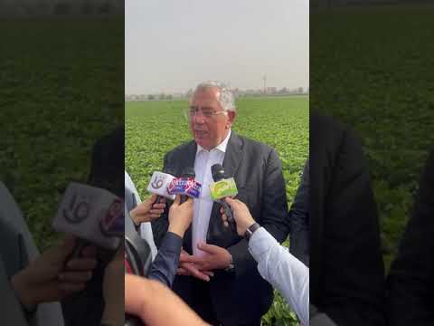 زراعة البطاطس باستخدام الرى بالتنقيط فى الدقهلية تجربة فريدة