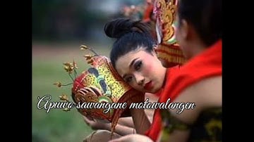 Love Story bahasa Using Banyuwangi Cupar