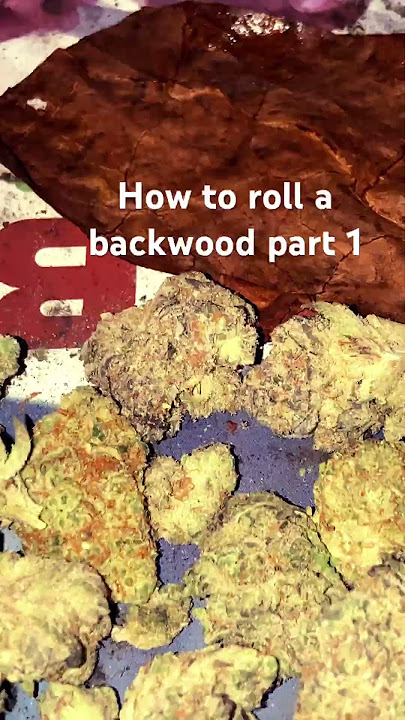 Download lagu How to roll a #backwood #rasta #futurefire style
