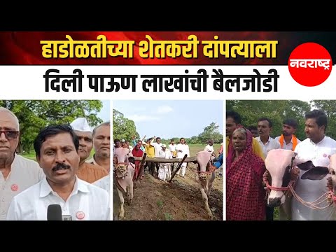 Latur Shetkari Viral Video : क्रांतिकारी शेतकरी संघटनेने दिली पाऊण लाखांची बैलजोडी....