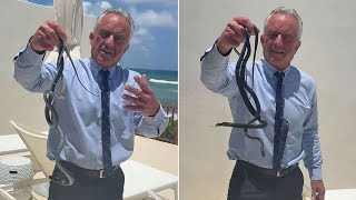 🐍 RFK Jr. Grabbed a VENOMOUS Rattlesnake… During a Meeting 😳