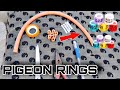 How to make pigeon rings at home  phone number rings