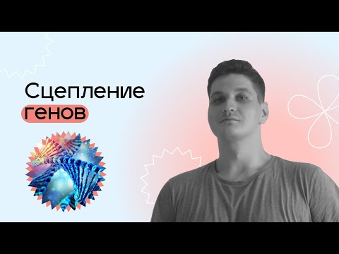 Сцепление генов. Закон Моргана. БИОЛОГИЯ ЕГЭ