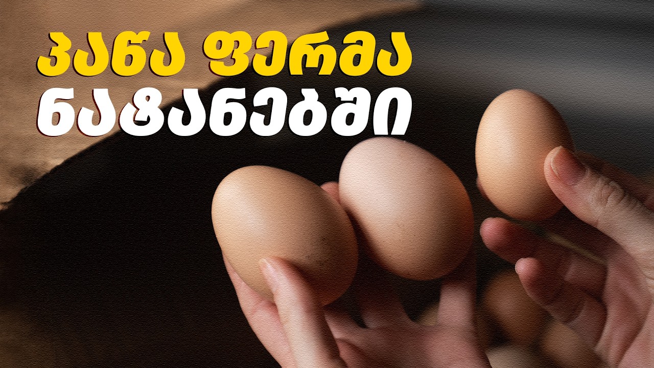 მეფრინველეობა საქართველოში: „პაწა ფერმას“ გამოცდილება ნატანებიდან - მე ვარ ფერმერი