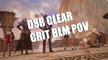 DSR Crit BLM pov | LPDU PF clear