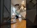 Dog Saves Owner Seconds Before The Ceiling Collapses! #shorts