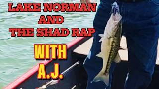 The Shad Rap on Lake Norman