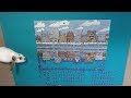 City Reflections Jigsaw Puzzle Time Lapse