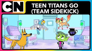 Teen Titans Go - Team Sidekick 9 | Teen Titans Go | Cartoons for Kids | Cartoon Network India