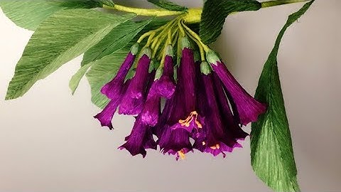 ABC TV | How To Make Iochroma Cyaneum Paper Flower From Crepe Paper - Craft Tutorial