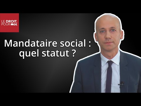 Vidéo: Une organisation unitaire à but non lucratif est Structure, fonctionnalités, exemples