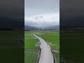 Brown Boulevard in Taitung, Taiwan #ricefarm #dronevideo #台灣 #台東 #空拍