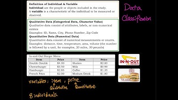 1.2 Part 1 of 1: Data Classification - Qualitative & Quantitative Data | Stats