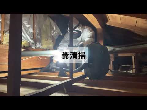 害虫・害獣駆除 SASAワーク(埼玉県さいたま)