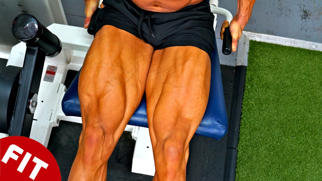 DYNAMIC TENSION FOR SHREDDED LEGS! 