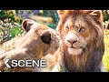 'The Lion King' Finale - YouTube