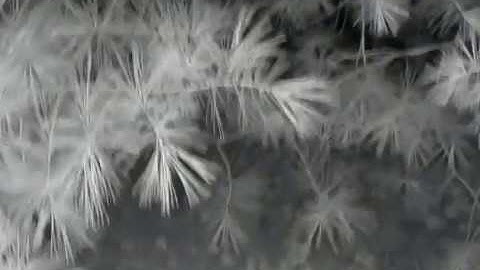 Raspberry Pi  Night Vision System