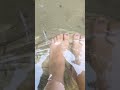 Fish Pedicure in Pool #fish #pedicure #natural