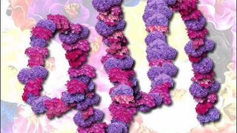 سورة الرحمن بصوت الشيخ علي بريك