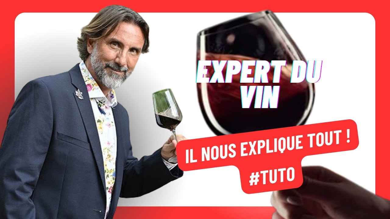 EXPERT DU VIN : COMMENT RECONNAITRE LES DIFFERENTS VINS ? - TUTO - YouTube