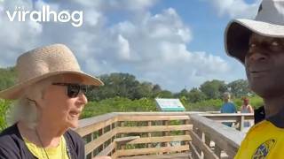 Famous Grandma Is Insulted Alligator Didn't Want to Eat Her || ViralHog Profile
