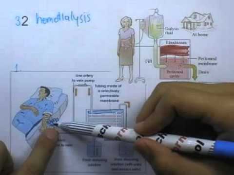 ormBio ver2 : ชีววิทยา PAT ตุลาคม ปี2553 ตอน01