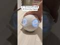 TikTokで500万再生された動画。ペットカメラ界隈がバズりすぎてて怖い#ロボとーちゃん #一人暮らし #ペットカメラ #見守りカメラ