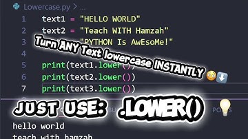 Turn Any Text Into Lowercase Instantly in Python
