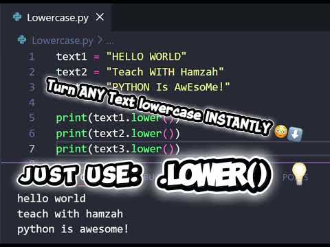 Turn Any Text Into Lowercase Instantly in Python