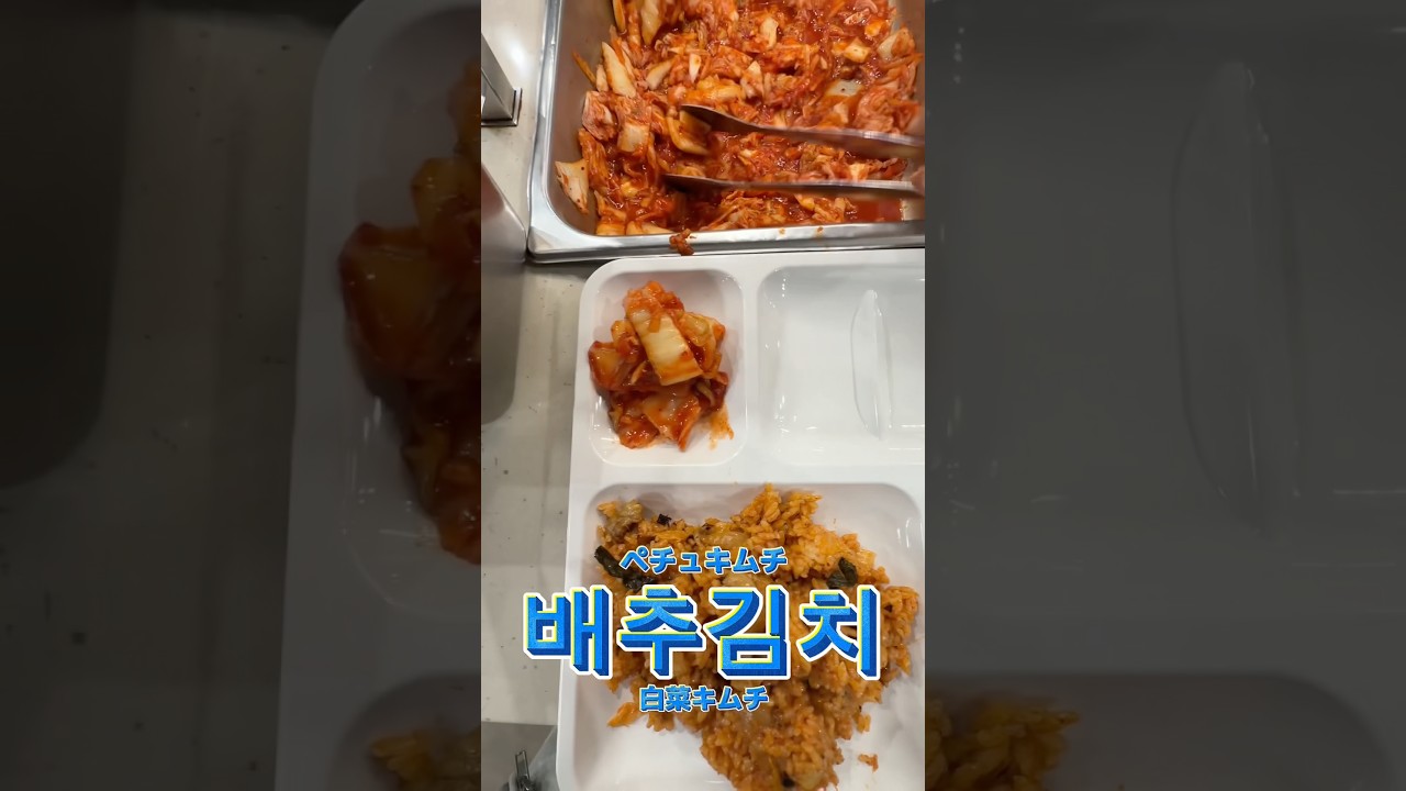 韓国学食はおかずも充実してる🍱🥬🥒🥟🍜 #キムヨンデ #韓国 #韓国学食 #とある日の学食イン韓国 #학식