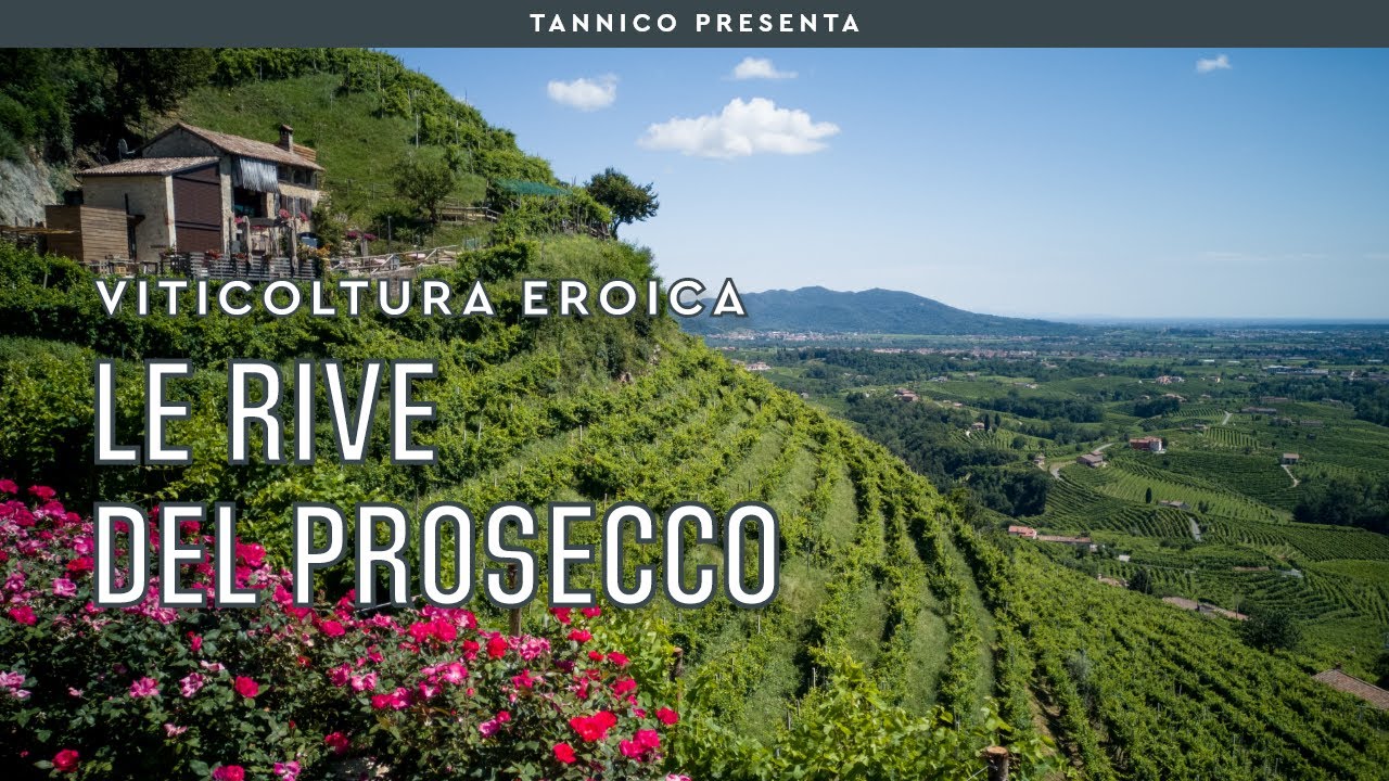 Le rive del Prosecco | Tannico