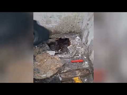 Video Blitz antidroga della Polizia di Stato nel quartiere San Cristoforo. I poliziotti della Questura di