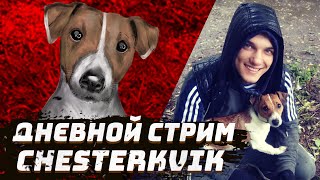 Kvik DoG в Эфире / 01.05.2024 (Авроре 💖 3 менсяца 🥳🎉)