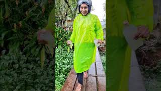 നാട്ടിന്‍പുറം 💚....................#nature #ride #friendship #village #rain #toddy