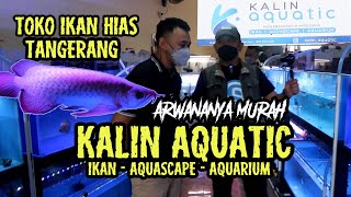 TOKO IKAN HIAS KALIN AQUATIC TANGERANG