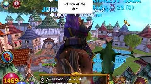 Wizard101 over commons glitch!