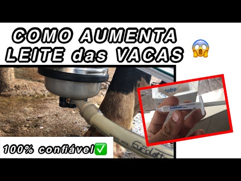 Vídeo: Fazendas adotivas usam hormônios?