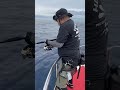パート2 船の周りで巨大魚がボコボコと😳ヤバイ😱