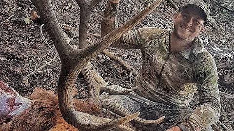 Wasatch Front Extended Bull Elk 2017 (Scott's Bull)