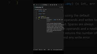 Golang Hello World Golang Shorts
