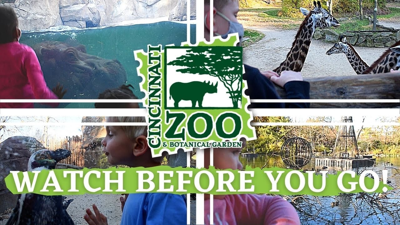 Watch this BEFORE YOU VISIT the Cincinnati Zoo! || Family Vacation with LOTS of animals!
