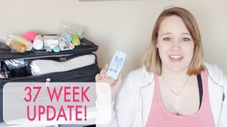 37 WEEKS + Hospital Bag & Early Induction! | Pregnancy Update
Whats in my hospital bag the second time around & plans for possible early induction!
⤹LOOK AT THIS COOL STUFF
WHAT I PACKED LAST TIME ⋆
FOR REVELYNNE ⋆ http://bit.ly/1TacUs7
FOR ME ⋆ http://bit.ly/1WPpo7q
THINGS I MENTIONED ⋆
HAIR BRUSH ⋆ http://goo.gl/2Wmw1A
GOING HOME OUTFIT ⋆ http://etsy.me/1WPoSGs
SISTER-IN-LAWS ETSY SHOP ⋆ http://etsy.me/1UPy8g0
NIGHT NURSING BRA ⋆ http://goo.gl/UwwkL1
LAST MOM VIDEO ⋆ https://youtu.be/bgqD0Ub0kZk
LAST DAILY VLOG ⋆ https://bit.ly/ThePflederersVlog
———————————————————
⤹FOLLOW ME BELOW
PERSONAL INSTAGRAM ⋆ http://bit.ly/ariannainstagram
BABY PRODUCT INSTAGRAM⋆ http://bit.ly/thismommysopinion
FACEBOOK PAGE ⋆ http://bit.ly/ariannafacebook
TWITTER ⋆ http://bit.ly/ariannapflederer
———————————————————
⤹ABOUT ME
Hey Ladies! I am a mommy to Revelynne born New Years 2015, and we are expecting our second child! Subscribe for all things mom and wife. Really this is just my channel to express myself, so no promises it will only stay in those two categories. :P
Much Love,
Arianna Pflederer
PS. We are total over sharers, so we like to put our faces on the internet every single day (but Sunday) check out our daily vlog link near the top of this box of goodness!
———————————————————
⤹MUSIC INFO
INTRO/OUTRO
SUNDRESS - LANDON AUSTIN (ORIGINAL)
ITUNES ⋆ http://goo.gl/pnehWQ
MUSIC VIDEO ⋆ http://youtu.be/-EsqkduFGSY
LANDONS CHANNEL ⋆ http://youtube.com/LandonAustin
(I have email permission to use this artists music)
ADDITIONAL MUSIC ⋆
SUNSET LOVER - PETIT BISCUIT
https://soundcloud.com/petitbiscuit/sunset-lover
———————————————————
———————————————————
⤹DISCLAIMER
There may be affiliate links above. I have the awesome opportunity to work with companies sometimes - and if I truly love the company, sometimes they give YOU GUYS money off! Any and all affiliate links are products I use and love.
If this video is sponsored, I will say it out of mouth on the screen you just watched. I want 100% transparency and trust with my viewers. If a company sent me something, I will tell you. My thoughts will be honest and there will always be something in it for you. Like free stuff or money off. Who doesnt love that?! ———————————————————
⤹SEND ME A LETTER
Arianna Pflederer
PO BOX 95943
Hoffman Estates, IL 60195
United States of America BUSINESS INQUIRIES ONLY ⋆ arianna@arianna-lynne.com BUSINESS INQUIRIES ONLY : Arianna(at)seedtotablefarms.com 37 WEEKS + Hospital Bag & Early Induction! | Pregnancy Update