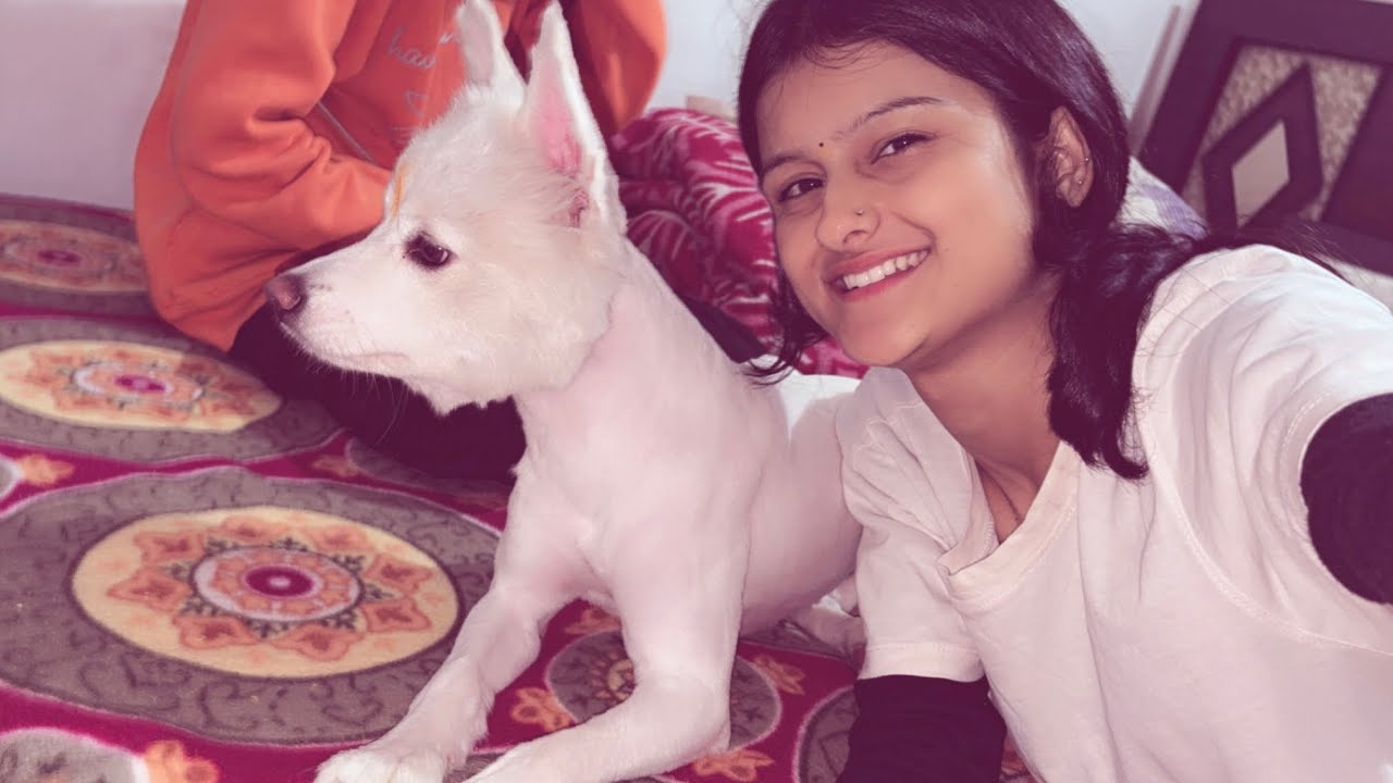 Peanut ka new look😲😅#viralvideoシ #vlogvideo #uttrakhand #funny 