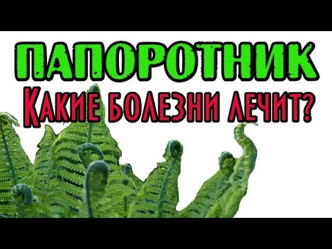 Бейне: Папоротник өсіру