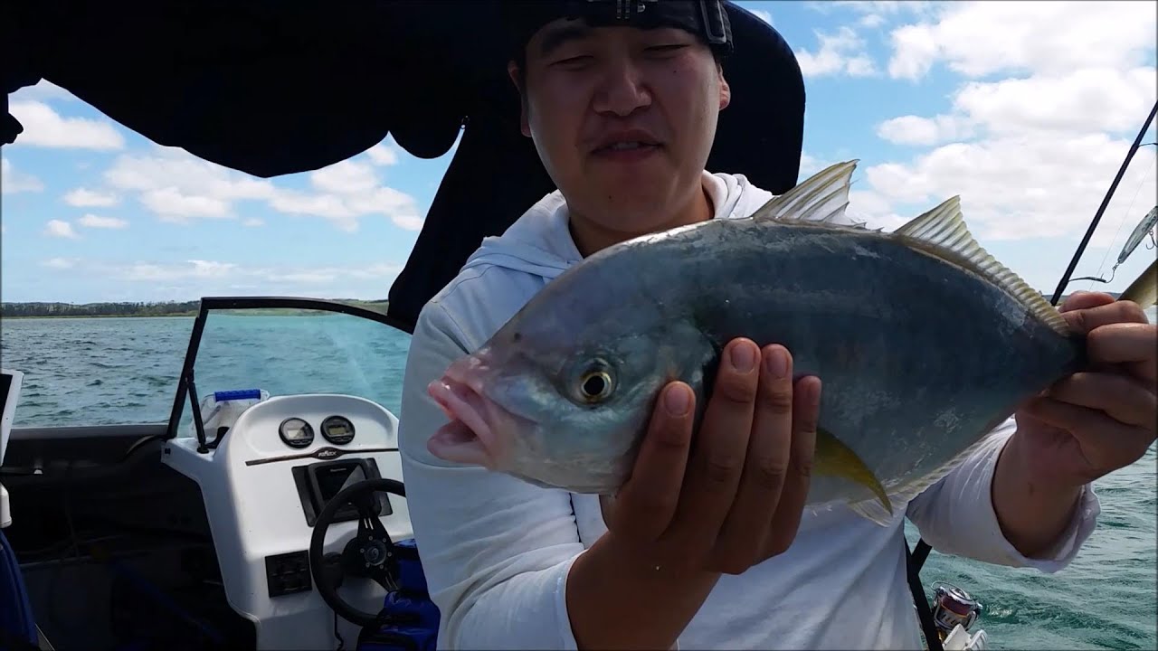 Epic straylining in the Far North - NZ Basic Fishing - YouTube