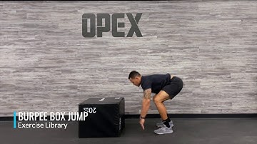 Burpee Box Jump
